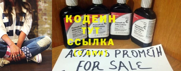 хмурый Корсаков